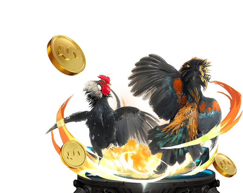 Chương trình VIP Kubet